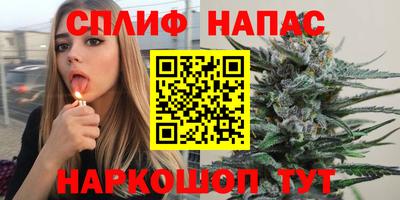 мдпв Ипатово
