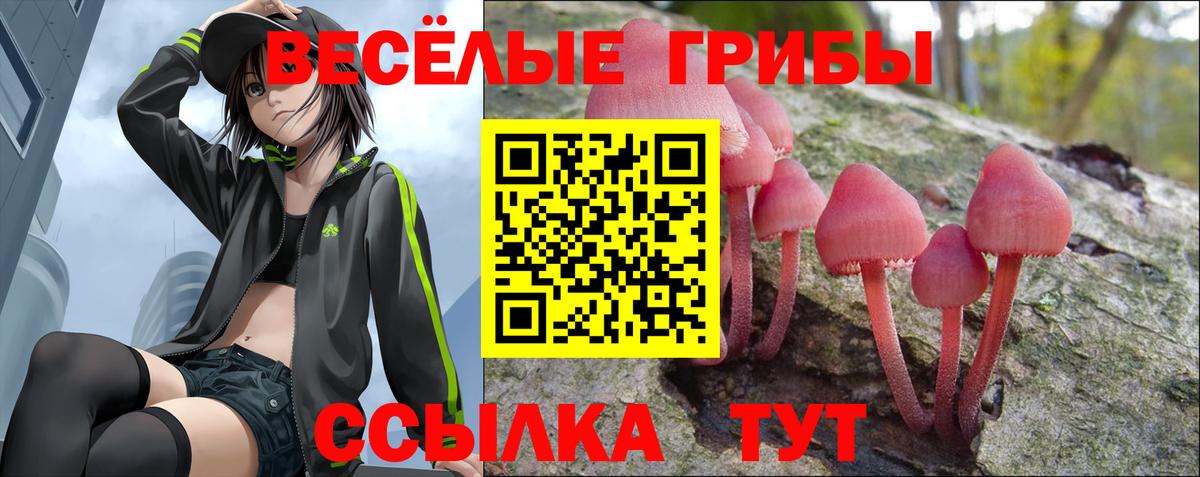 Кыштым  Галлюциногенные грибы мицелий  Вход с VPN 
